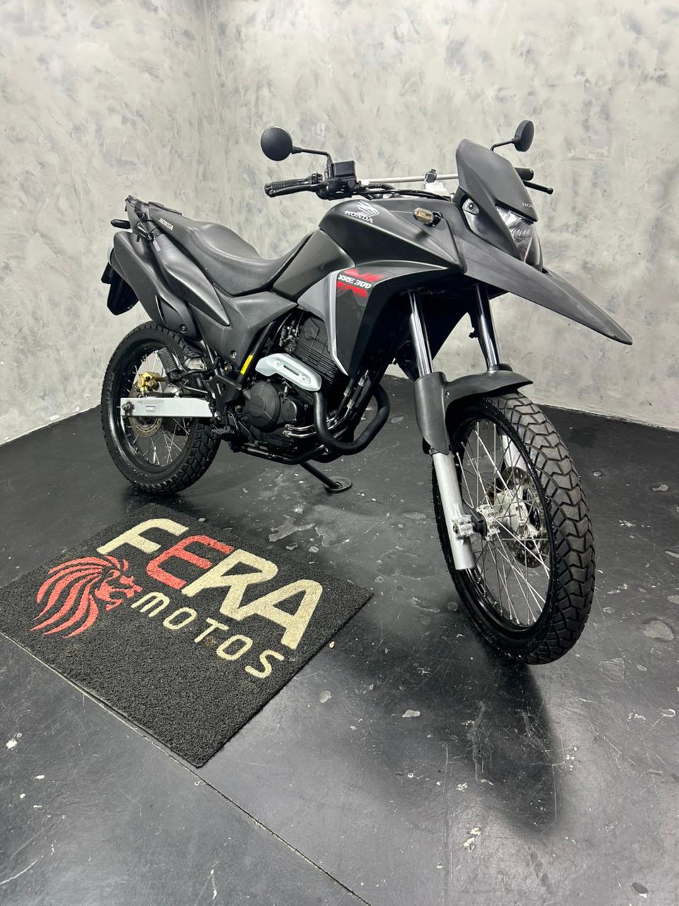 HONDA XRE 300 | ANO 2013
